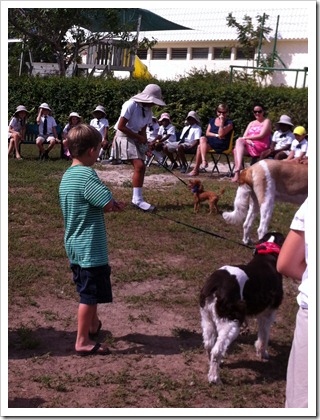IMG_0435 IMG_0435