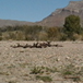 View album