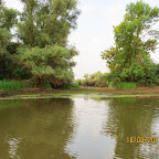 IMG_8213.JPG