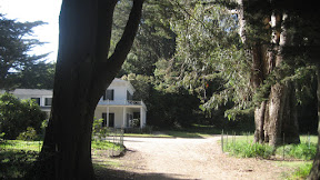 IMG_5140.JPG