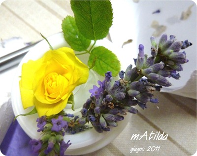 rosa e lavanda