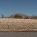 View album