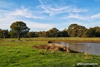IMG_5064.JPG