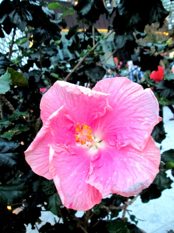 [IMG_1643%255B6%255D.jpg]