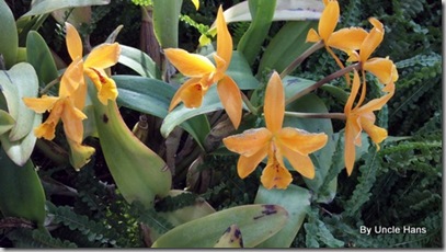2012-03-04_10-57-29_84 2012-03-04_10-57-29_84