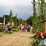 IMG_0117.JPG