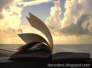 [livro1%255B1%255D.jpg]