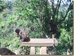 IMG_0415 IMG_0415