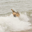 Lake Huron-46.jpg