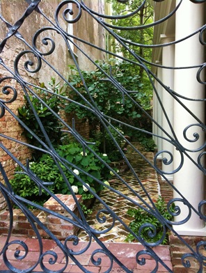 IMG_0855 IMG_0855