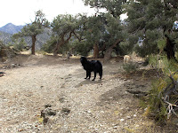 HPIM2351.JPG Photo