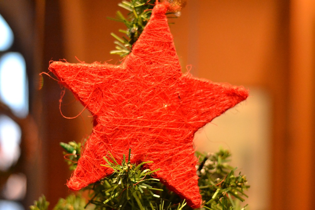 [DSC_0065%255B4%255D.jpg]