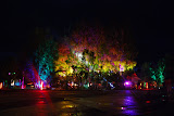 DSC_2950.JPG