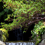 IMG_6178.jpg