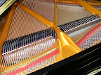 Waldstein Grand