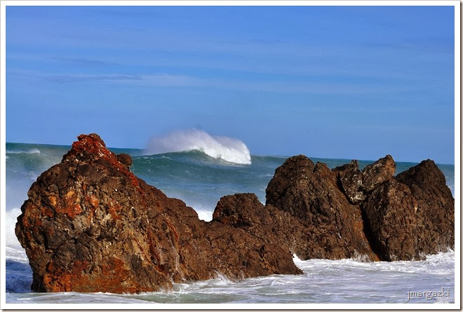 DSC_1688 DSC_1688
