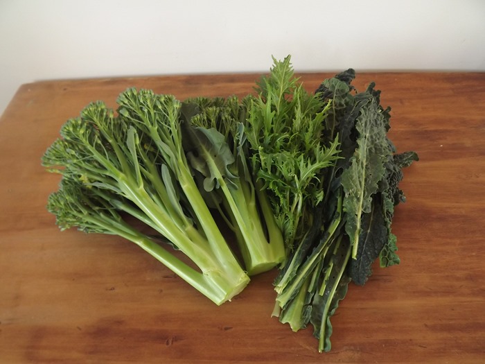 broccoli june 2013 (2)