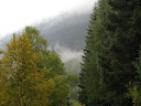 IMG_1271.jpg