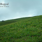 Roopkund-trek-Ali-Bugyal.JPG