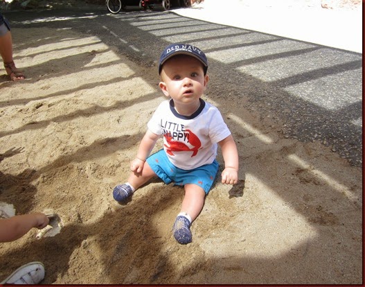 IMG_2083 IMG_2083