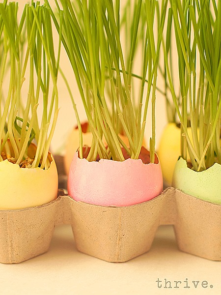 Easter Egg Wheat Grass Centerpiece from THRIVE