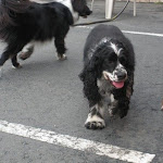 DSCN4930.jpg