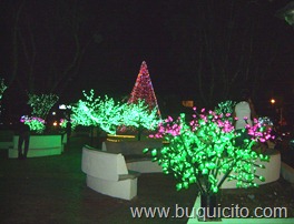 foto 2 parque Garcia Godoy