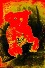 Split-Toned-Prints---Bears-1-C