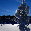 DSC_0032.JPG