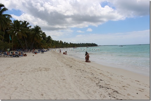 IMG_1926 IMG_1926