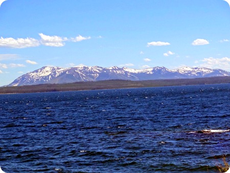 Yellowstone lake