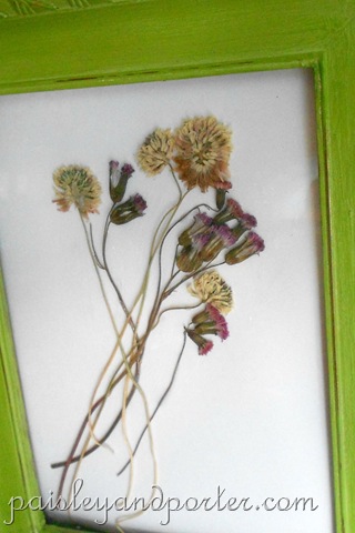 [DSCN1850-1%255B2%255D.jpg]