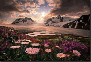 alaska-amazing-art-bliss-Favim.com-1077862
