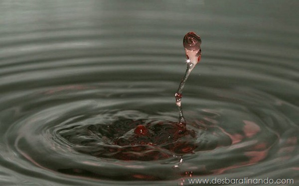 liquid-drop-art-gotas-caindo-foto-velocidade-hora-certa-desbaratinando (149) liquid-drop-art-gotas-caindo-foto-velocidade-hora-certa-desbaratinando (149)