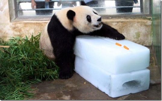 viral-picdump-pics-a6b29e