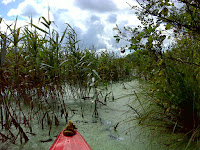 DSC05405.JPG Photo