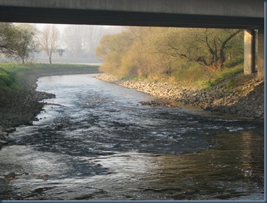 morgenbilder 009