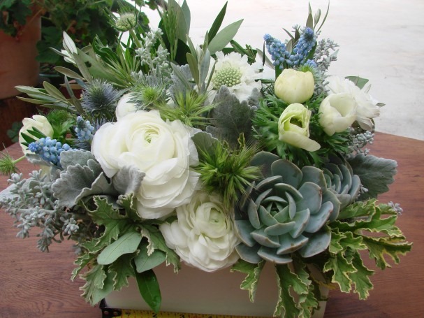[custom03-607x455-holly-flora3.jpg]