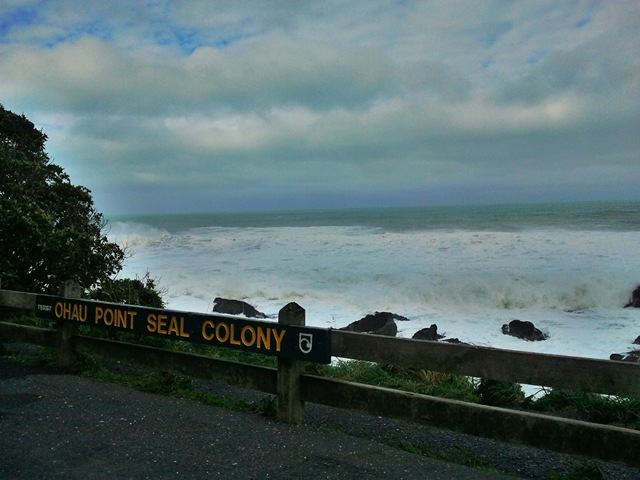 [C360_2011-08-17%252014-09-31%255B5%255D.jpg]