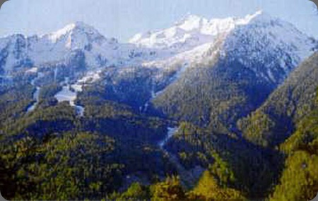 Osservatorio Eco-Faunistico Alpino trapric1