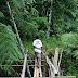 Cameron Highlands, MY