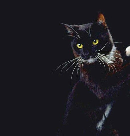 [clip_image003%5B4%5D.jpg]