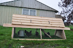  Chicken Gallery