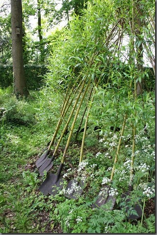 wilgentenen wilgentenen