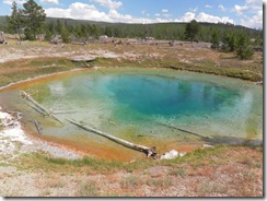 yellowstone ours 38