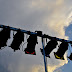 mDSC_5780.jpg