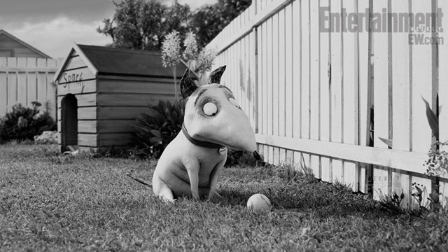 Frankenweenie 03