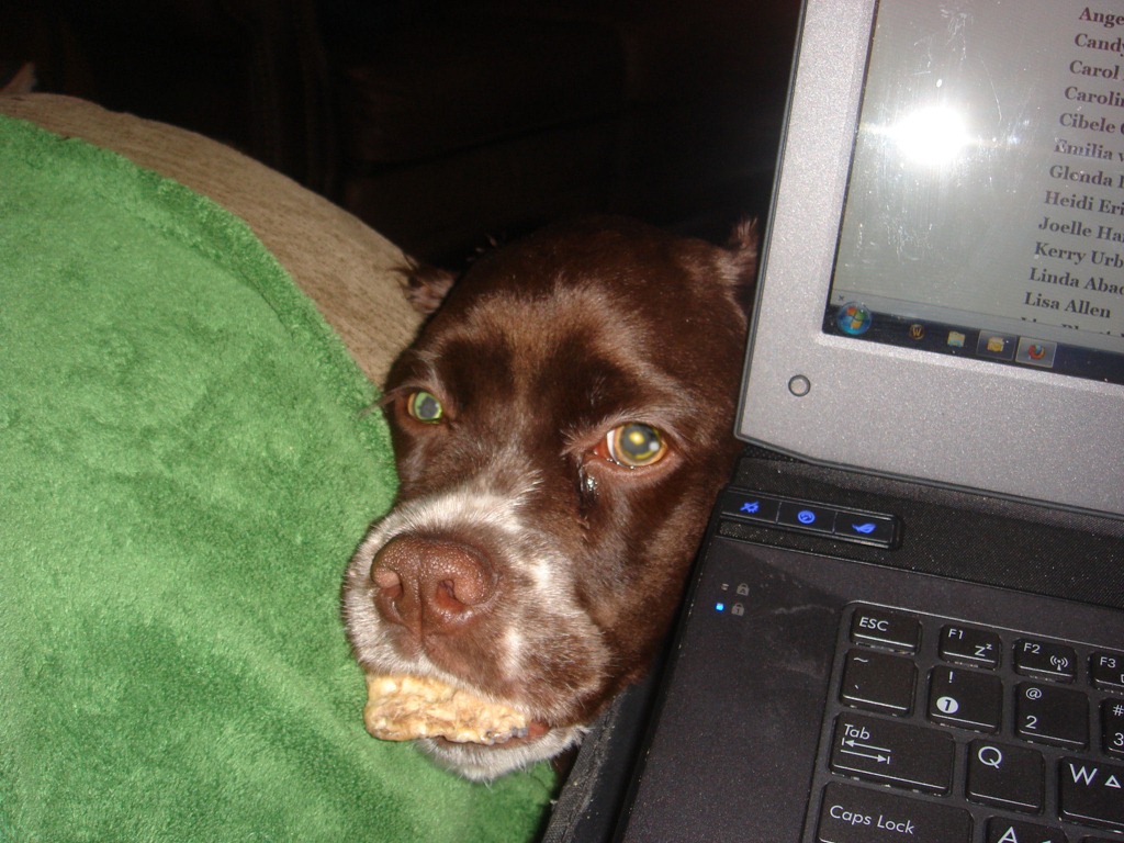 [01_26_2012a%255B3%255D.jpg]