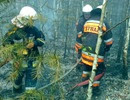 Pożar lasu na Krępie - 05.08.2013r.2
