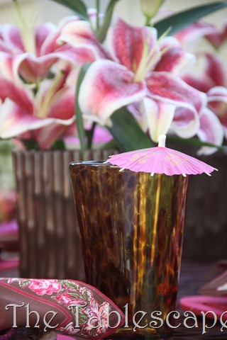[tropical-0493.jpg]